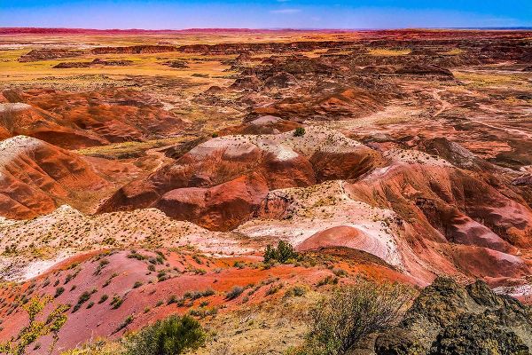 Perry, William 아티스트의 Tawa Point-Painted Desert-Petrified Forest National Park-Arizona작품입니다.